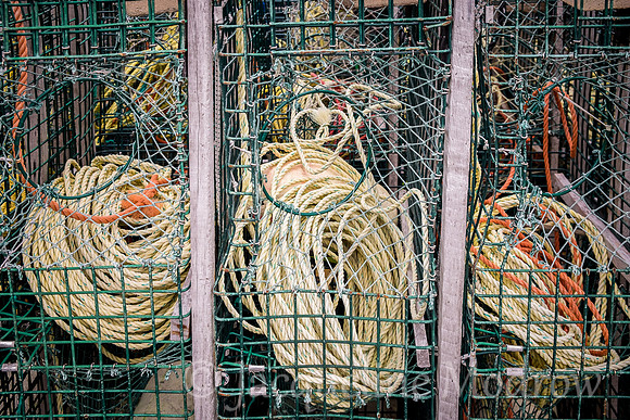 "The Ropes"