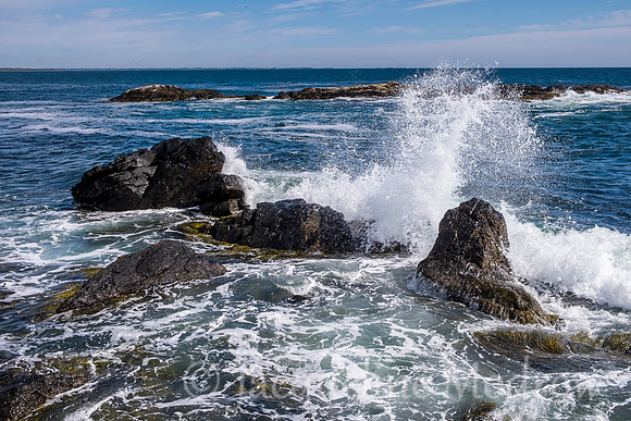 Newport Coastline