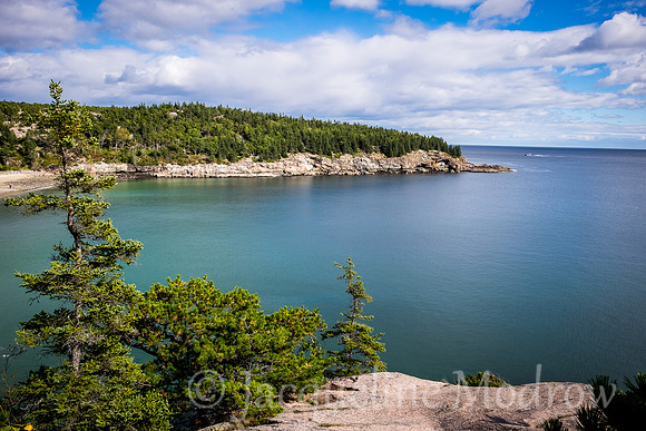 Bar Harbor Coastline