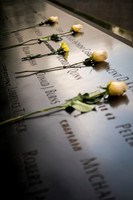 "The Yellow Carnation"