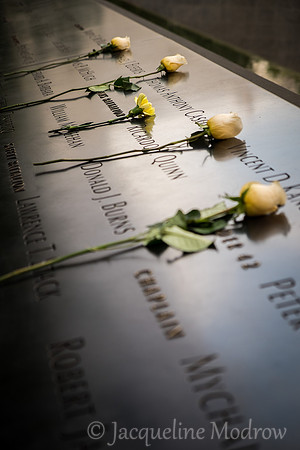 "The Yellow Carnation"