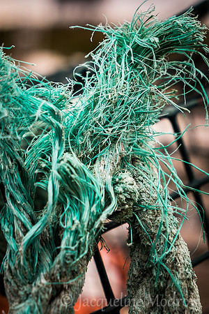 "The Ropes"
